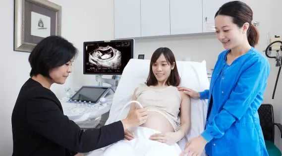 代怀助孕：冻胚移植的费用、流程与成功秘诀